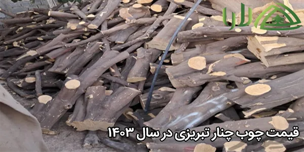 قیمت چوب چنار تبریزی در سال ۱۴۰۳
