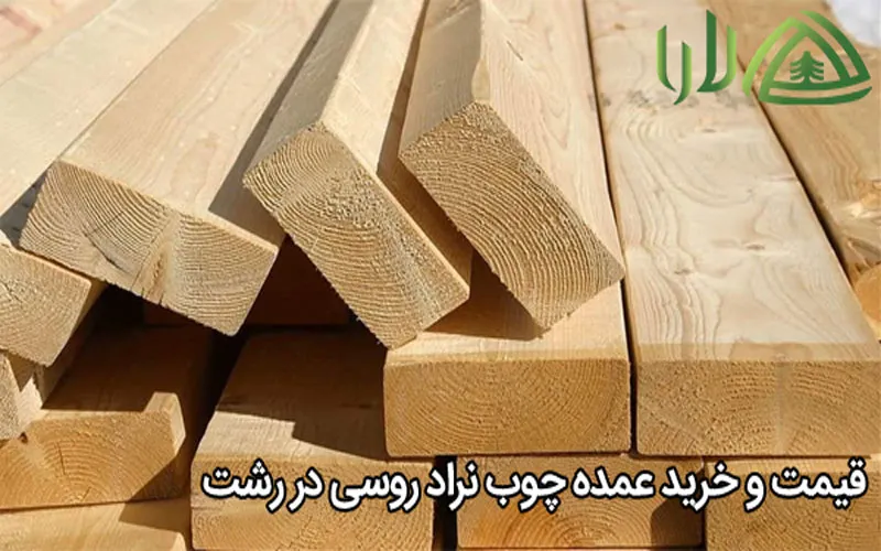 قیمت و خرید عمده چوب نراد روسی در رشت